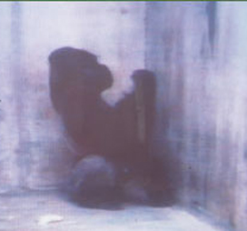 About_History_Ivan_01